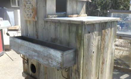 Best Outdoor Heated Cat House