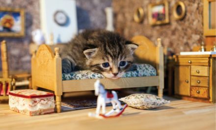 Country Style Decor Tips