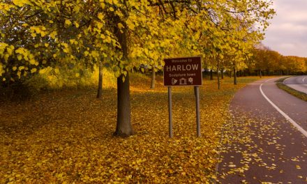 Harlow in Essex leads the way on 10-year house price growth