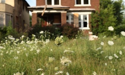 ‘Lockdown could change buyer priorities’