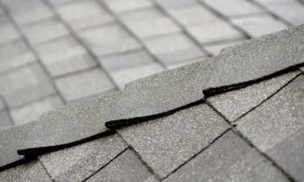 Tile Roof vs. Shingle: Which Type of Roof is Best for Your Home
