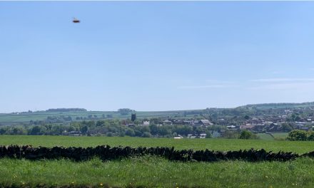 Developers face backlash for avoiding scrutiny due to lockdown