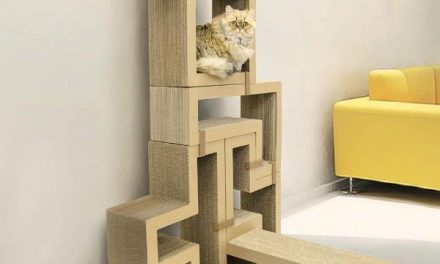 Get Cat Trees for Your Large Cat