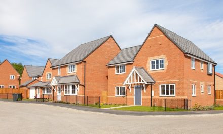 Prospect to start showing homes again