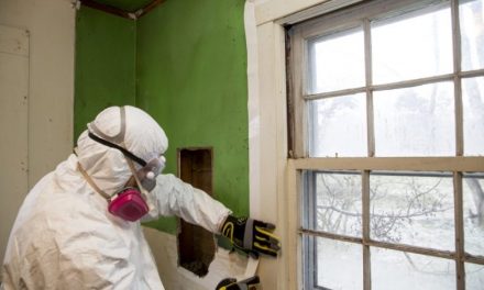 Reasons Why Asbestos Removal is Imperative