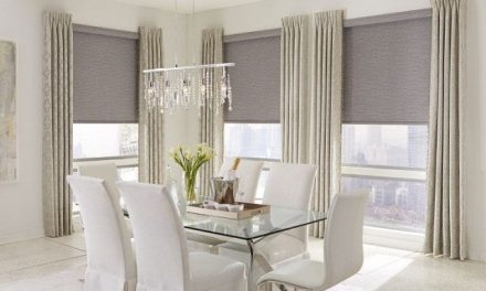 Roller Shades: Unobstructed View for Small or Large Windows