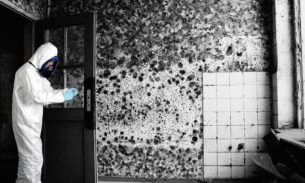 When to Consult a Moisture Control Company for a Free Quotation