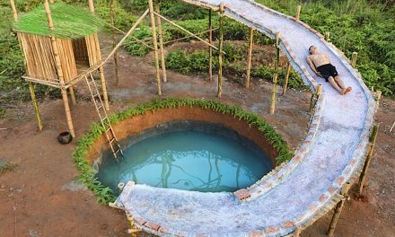 Building A Swimming Pool From Scratch