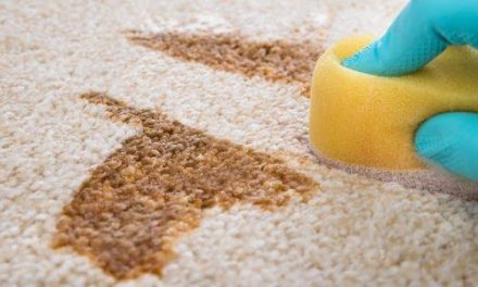 Five Secrets of Carpet Cleaning From The Professionals