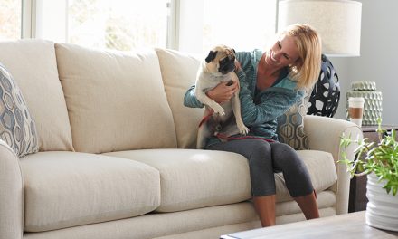 How to Choose Upholstery of the Furniture