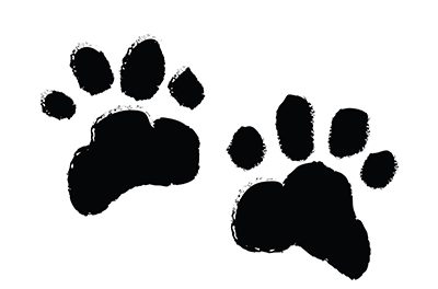 New tool allows agents to create pet-friendly contracts at speed