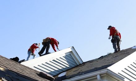 Reasons to Hire a Professional Roofing Company