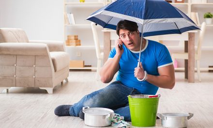 What to Do in Case of Roof Leaks