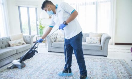 What to Look For in a Carpet Cleaning Company
