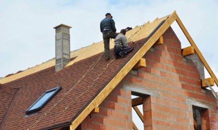Why You Should Hire a Professional Roofing Company