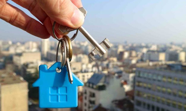 7 things you need to become a successful property developer
