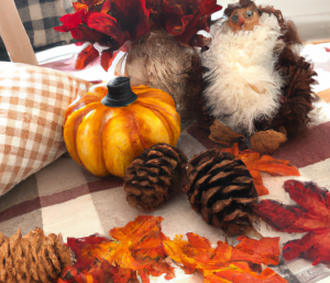 How Can I Decorate My House For Autumn?