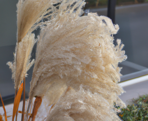 Is Pampas Grass A Good Idea? Does Dried Pampas Grass Last Forever?