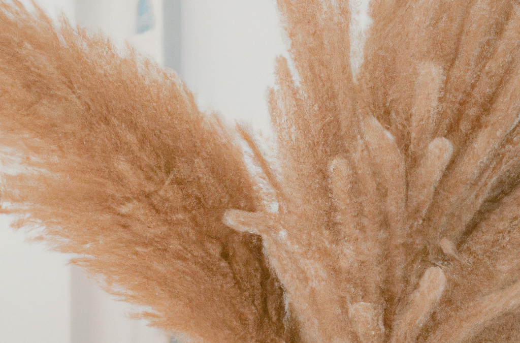 Pampas Grass Decor – Making Your Home Uniquely Beautiful