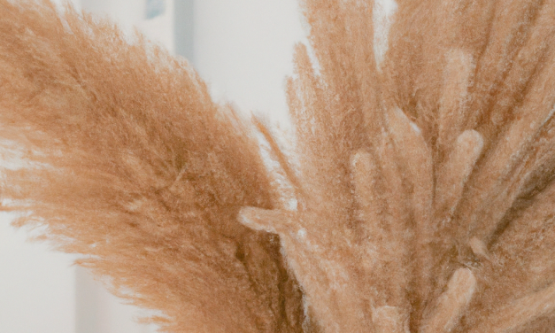 Pampas Grass Decor – Making Your Home Uniquely Beautiful
