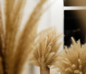 Why Do People Decorate With Pampas Grass?