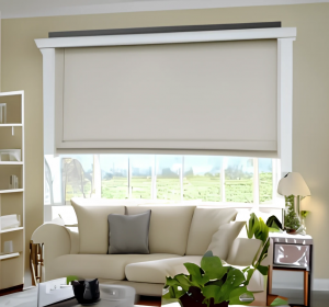 Can you have roller blinds in living room?