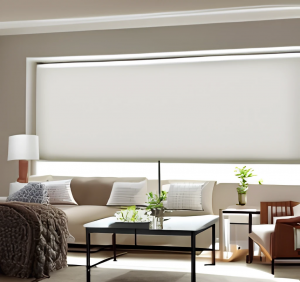 Living Room Blind Ideas For Your Home