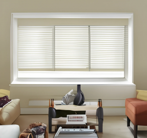 What type of blinds look best in living room?