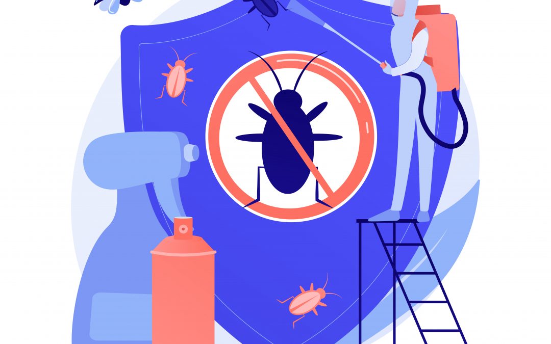 Why Bed Bug Heat Treatment Works So Effectively