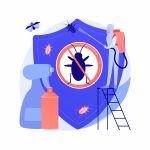 Why Bed Bug Heat Treatment Works So Effectively