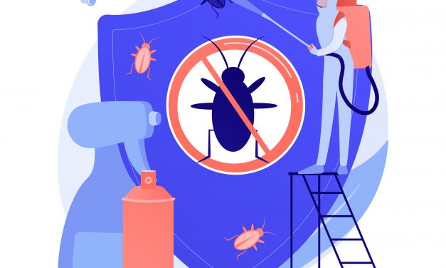 Why Bed Bug Heat Treatment Works So Effectively